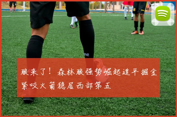 狼来了！森林狼强势崛起追平掘金紧咬火箭稳居西部第五
